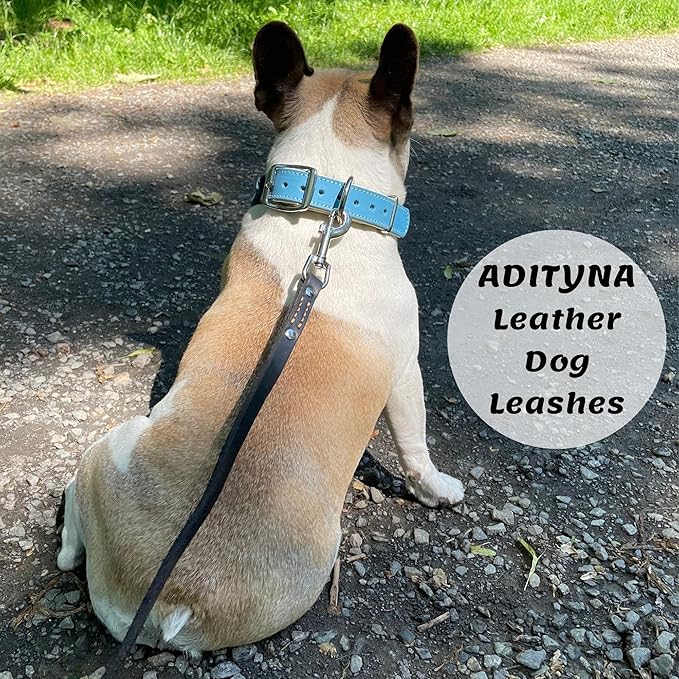 ADITYNA - Premium Leather Dog Leash - 6 ft, Heavy-Duty, Soft & Strong for Small/Medium Dogs (Medium: 6 ft x 5/8", Black)