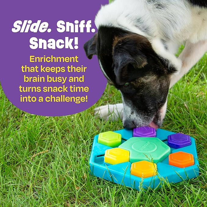 Brightkins Spin & Seek Hexagon Treat Puzzle - Interactive Dog Toys, Puzzle Feeder for Small and Large Dogs, Enrichment Toy Puzzles to Keep Pets Busy, Treat Dispensing Puppy Toys, Cognitive Dog Toy