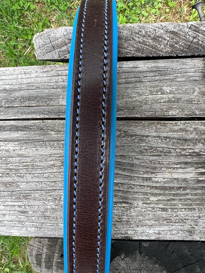 Leaders Leather Dog Collar with Customized Name Plate (Royal Blue/Brown Medium/Large (15"-19"))