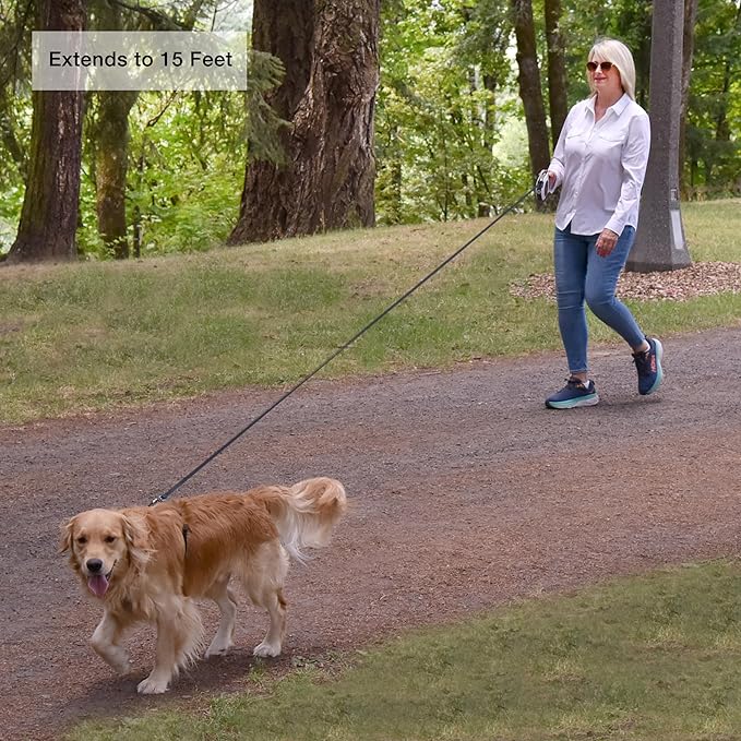 Hounds & Pups Retractable Dog Leash, 15 ft Length, LED Light for Night Walks (Purple)