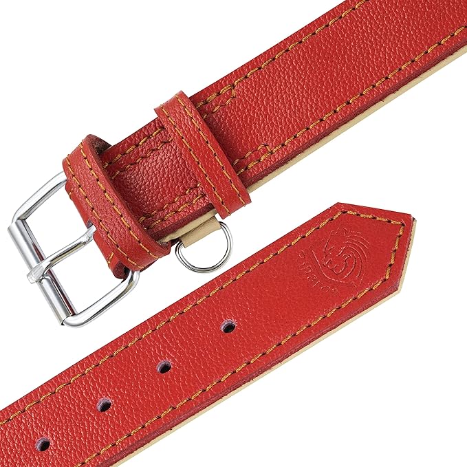 Riparo Red Dog Collar, Dog Collars for Medium Dogs, Leather Dog Collar for Medium Dogs (M: 1" Wide for 13.5”-17.5” Neck, Red)