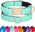 Didog Soft Padded Dog Collars for Medium Dogs, Colorful and Durable Dog Collar with Quick Release Buckle, Light and Breathable for Daily Walking, Teal, M