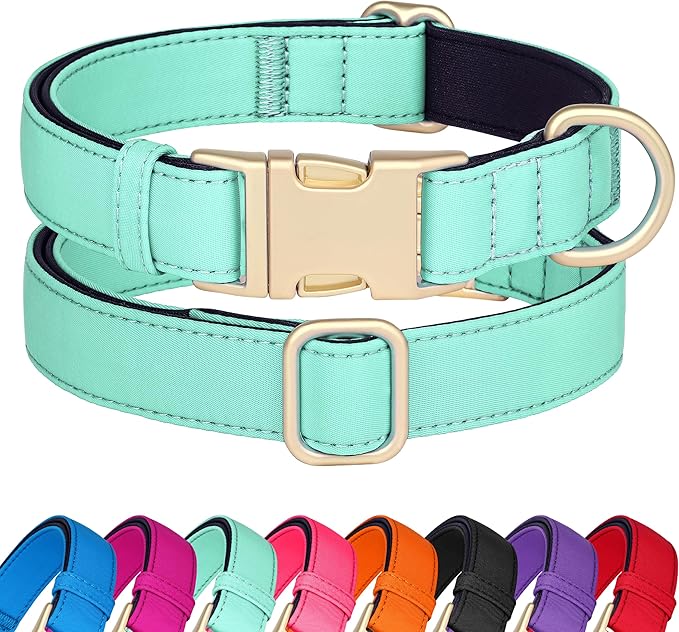 Didog Soft Padded Dog Collars for Small Dogs, Colorful and Durable Dog Collar with Quick Release Buckle, Light and Breathable for Daily Walking, Teal, S