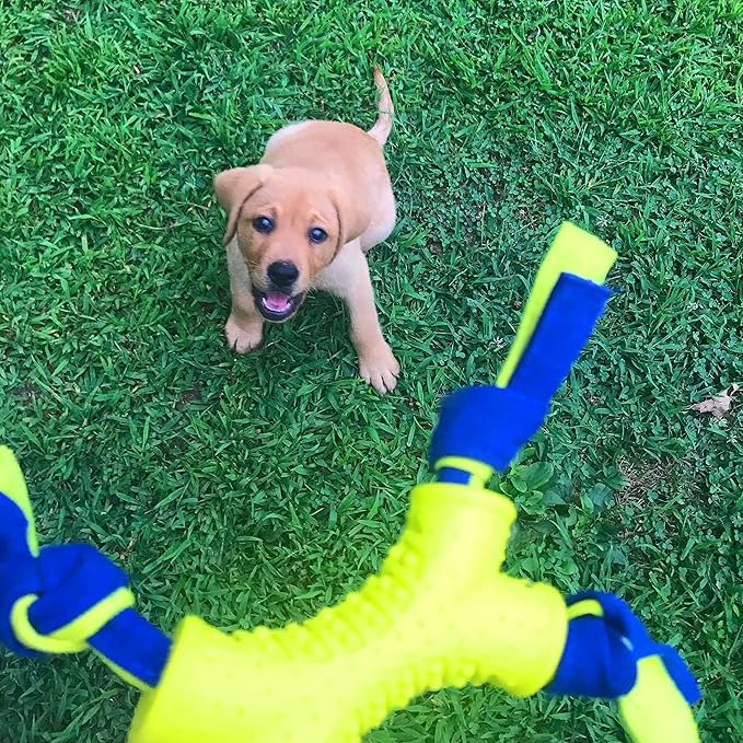 Nylabone Power Play Shake-a-Toss Interactive Play Toy, Fetch Toy for Dogs, Small (1 Count)