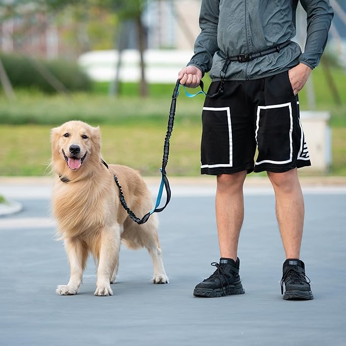 iYoShop Hands Free Dog Leash with Zipper Pouch, Dual Padded Handles and Durable Bungee for Walking, Jogging and Running Your Dog (Large, 25-120 lbs, Military Green)