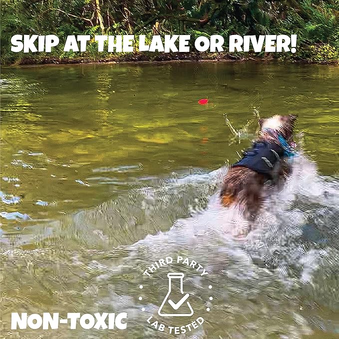 Skip NN' Fetch Small/Medium Floating Dog Toys Qty 2 | Stone Skipping Meets Fetch | Fun for Swimming Pool, Lake, Beach, and Land | Perfect Floating Water Toys for Small/Medium Dogs |
