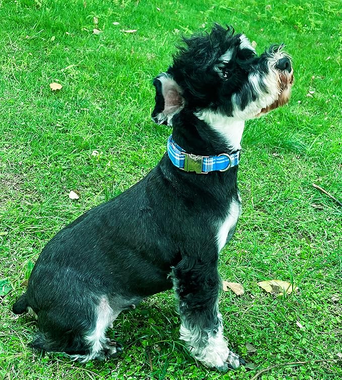 Unique style paws Dog Collar Metal Buckle Blue Plaid Durable Cute Puppy Collar for Small Medium Large Boys Girls Dogs