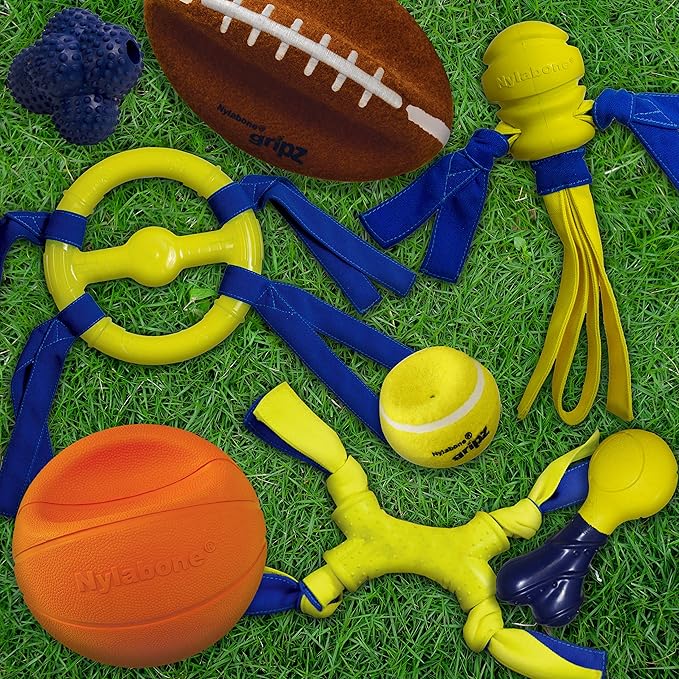 Nylabone Power Play Shake-a-Toss Interactive Play Toy, Fetch Toy for Dogs, Small (1 Count)