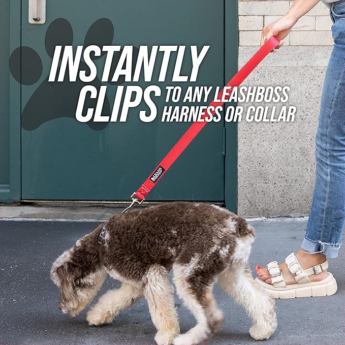 Leashboss Short Dog Leash for Dog Training | Padded Traffic Handle Short Leash for Dog Training, Total Comfort when Dog Walking | Traffic Leash for Dogs Large, Medium, Small | Short Nylon Dog Lead