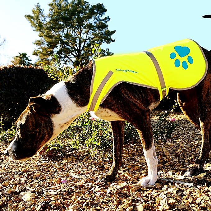 SafetyPUP XD Dog Reflective Vest – Hi-Vis Fluorescent Visibility That Helps to Safeguard Your Pet On/Off Leash in Urban & Rural Areas (Yellow, X-Small)