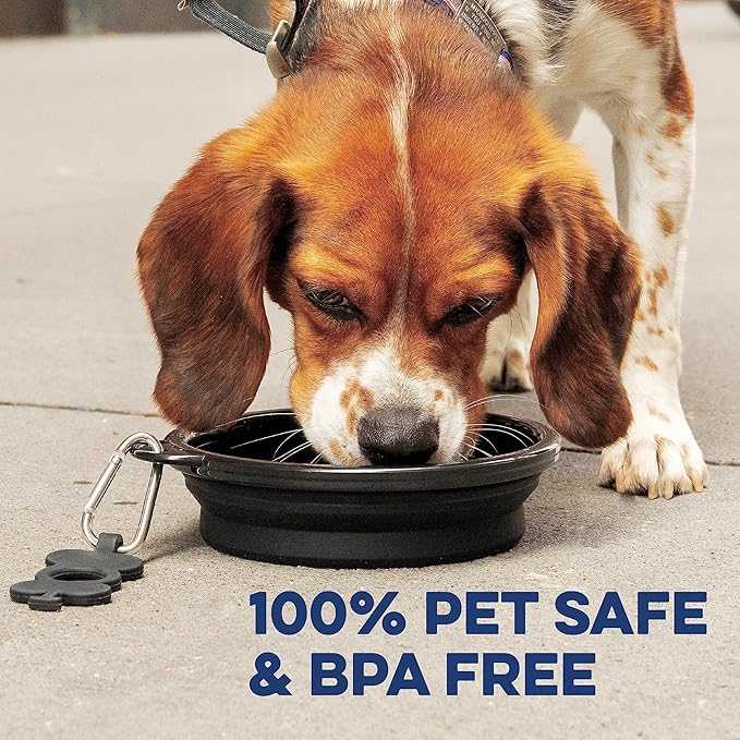 Bonza Collapsible Dog Bowls - Large 33 oz, Dog Travel Accessories, Silicone Portable Dogs Bowl & Water Dish with Reinforced Rim & Carabiner for Hiking, Camping, and Car Trips, Black